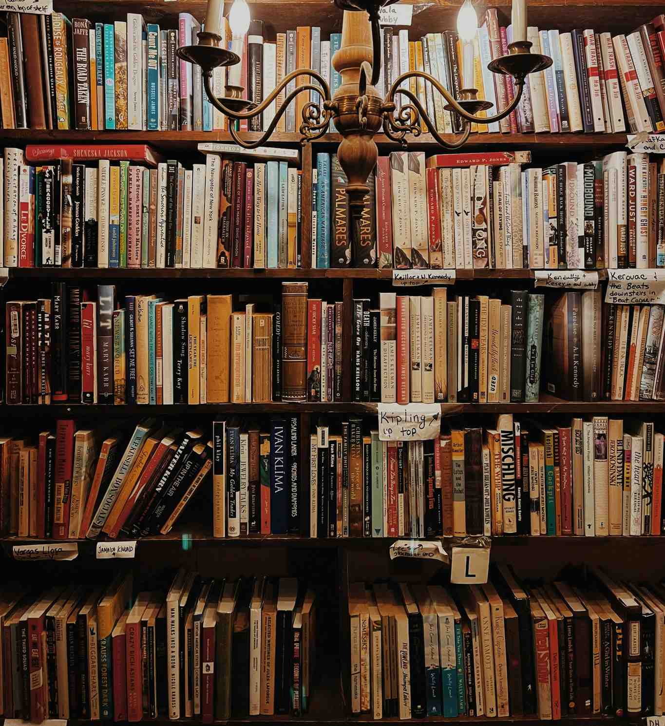 Best Books for Students Motivation to Become Successful